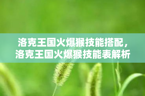 洛克王国火爆猴技能搭配,洛克王国火爆猴技能表解析 洛克王国火爆猴技能搭配,洛克王国火爆猴技能表解析