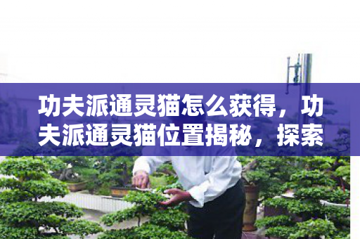 功夫派通灵猫怎么获得,功夫派通灵猫位置揭秘,探索神秘之旅 功夫派通灵猫怎么获得,功夫派通灵猫位置揭秘,探索神秘之旅