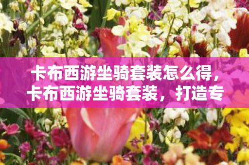 卡布西游坐骑套装怎么得,卡布西游坐骑套装,打造专属骑宠,畅游奇幻世界 卡布西游坐骑套装怎么得,卡布西游坐骑套装,打造专属骑宠,畅游奇幻世界