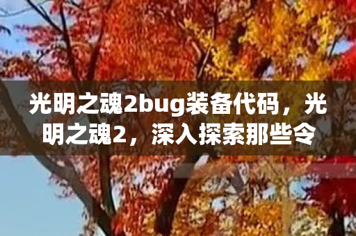 光明之魂2bug装备代码,光明之魂2,深入探索那些令人着迷的BUG 光明之魂2bug装备代码,光明之魂2,深入探索那些令人着迷的BUG