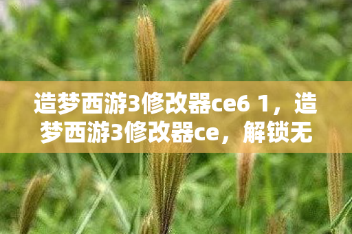 造梦西游3修改器ce6 1,造梦西游3修改器ce,解锁无限可能的冒险之旅 造梦西游3修改器ce6 1,造梦西游3修改器ce,解锁无限可能的冒险之旅