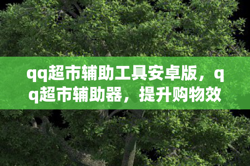 qq超市辅助工具安卓版,qq超市辅助器,提升购物效率与体验的智能工具 qq超市辅助工具安卓版,qq超市辅助器,提升购物效率与体验的智能工具