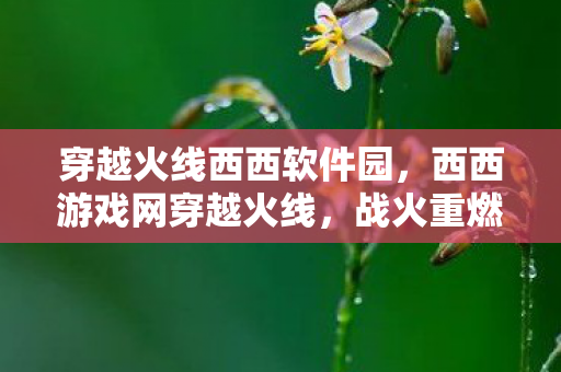穿越火线西西软件园,西西游戏网穿越火线,战火重燃,经典永不过时 穿越火线西西软件园,西西游戏网穿越火线,战火重燃,经典永不过时