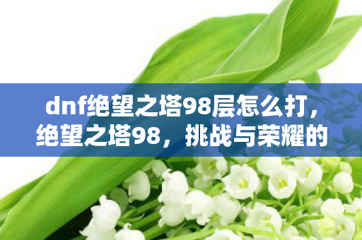 dnf绝望之塔98层怎么打,绝望之塔98,挑战与荣耀的终极试炼 dnf绝望之塔98层怎么打,绝望之塔98,挑战与荣耀的终极试炼