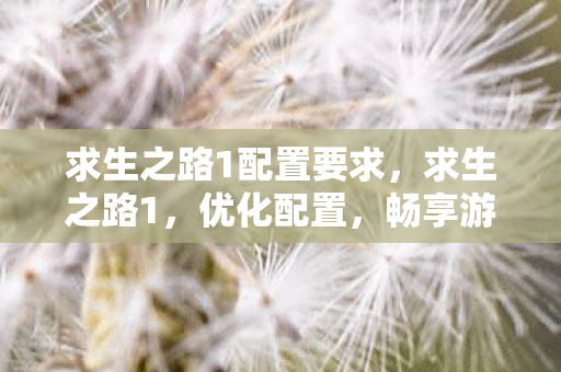 求生之路1配置要求，求生之路1，优化配置，畅享游戏之旅