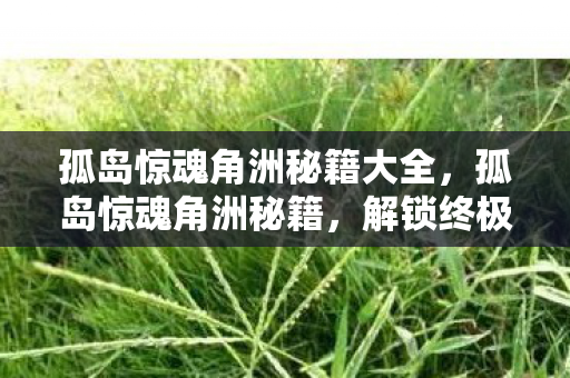 孤岛惊魂角洲秘籍大全,孤岛惊魂角洲秘籍,解锁终极生存与战斗技巧 孤岛惊魂角洲秘籍大全,孤岛惊魂角洲秘籍,解锁终极生存与战斗技巧