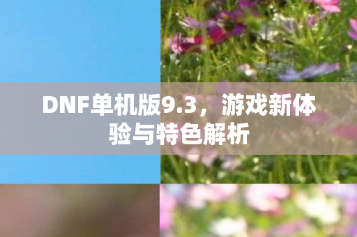 DNF单机版9.3,游戏新体验与特色解析 DNF单机版9.3,游戏新体验与特色解析