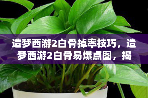 造梦西游2白骨掉率技巧,造梦西游2白骨易爆点图,揭秘游戏中的隐藏宝藏 造梦西游2白骨掉率技巧,造梦西游2白骨易爆点图,揭秘游戏中的隐藏宝藏