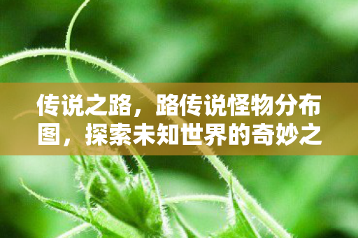 传说之路,路传说怪物分布图,探索未知世界的奇妙之旅 传说之路,路传说怪物分布图,探索未知世界的奇妙之旅