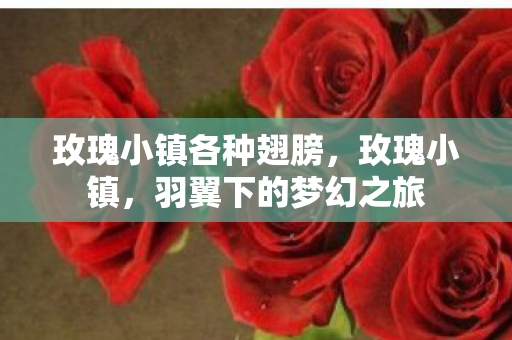 玫瑰小镇各种翅膀,玫瑰小镇,羽翼下的梦幻之旅 玫瑰小镇各种翅膀,玫瑰小镇,羽翼下的梦幻之旅