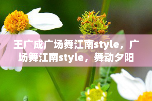 王广成广场舞江南style,广场舞江南style,舞动夕阳,乐享生活 王广成广场舞江南style,广场舞江南style,舞动夕阳,乐享生活
