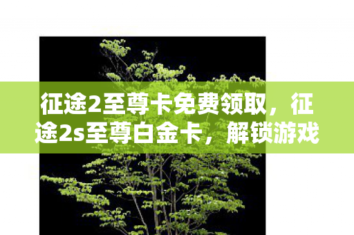 征途2至尊卡免费领取,征途2s至尊白金卡,解锁游戏新世界的钥匙 征途2至尊卡免费领取,征途2s至尊白金卡,解锁游戏新世界的钥匙