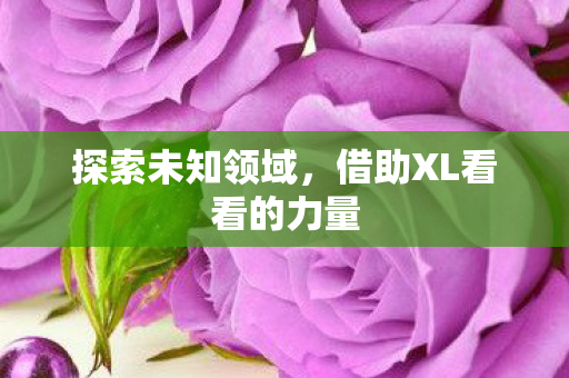 探索未知领域,借助XL看看的力量 探索未知领域,借助XL看看的力量