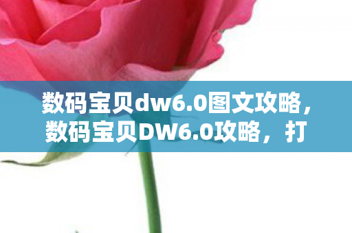 数码宝贝dw6.0图文攻略,数码宝贝DW6.0攻略,打造最强战斗阵容 数码宝贝dw6.0图文攻略,数码宝贝DW6.0攻略,打造最强战斗阵容