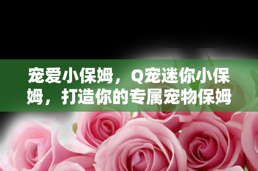宠爱小保姆，Q宠迷你小保姆，打造你的专属宠物保姆