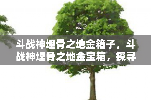 斗战神埋骨之地金箱子,斗战神埋骨之地金宝箱,探寻宝藏的奇幻之旅 斗战神埋骨之地金箱子,斗战神埋骨之地金宝箱,探寻宝藏的奇幻之旅