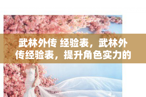 武林外传 经验表,武林外传经验表,提升角色实力的关键指南 武林外传 经验表,武林外传经验表,提升角色实力的关键指南