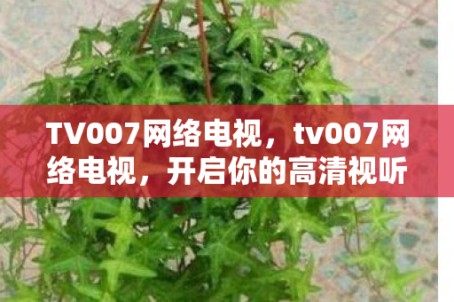 TV007网络电视,tv007网络电视,开启你的高清视听盛宴 TV007网络电视,tv007网络电视,开启你的高清视听盛宴