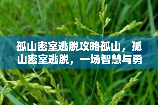 孤山密室逃脱攻略孤山,孤山密室逃脱,一场智慧与勇气的挑战 孤山密室逃脱攻略孤山,孤山密室逃脱,一场智慧与勇气的挑战