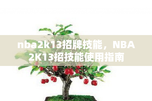 nba2k13招牌技能,NBA2K13招技能使用指南 nba2k13招牌技能,NBA2K13招技能使用指南