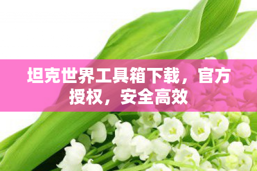 坦克世界工具箱下载,官方授权,安全高效 坦克世界工具箱下载,官方授权,安全高效