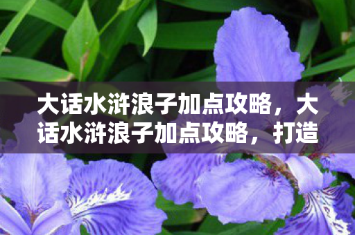 大话水浒浪子加点攻略，大话水浒浪子加点攻略，打造最强浪子的秘诀