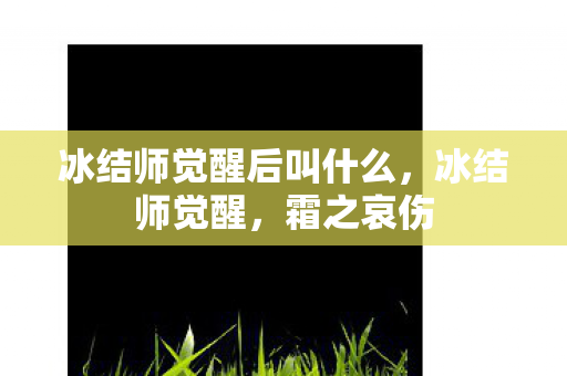 冰结师觉醒后叫什么,冰结师觉醒,霜之哀伤 冰结师觉醒后叫什么,冰结师觉醒,霜之哀伤