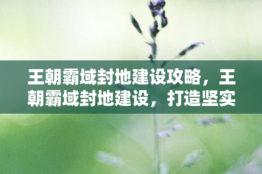 王朝霸域封地建设攻略,王朝霸域封地建设,打造坚实基石,引领帝国崛起 王朝霸域封地建设攻略,王朝霸域封地建设,打造坚实基石,引领帝国崛起