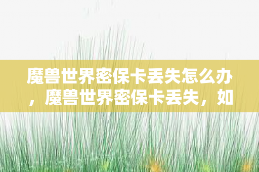 魔兽世界密保卡丢失怎么办，魔兽世界密保卡丢失，如何找回遗失的账号安全？
