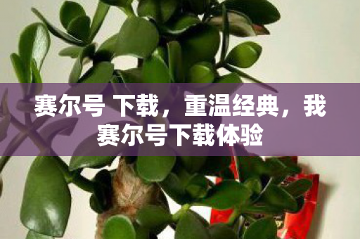 赛尔号 下载，重温经典，我赛尔号下载体验