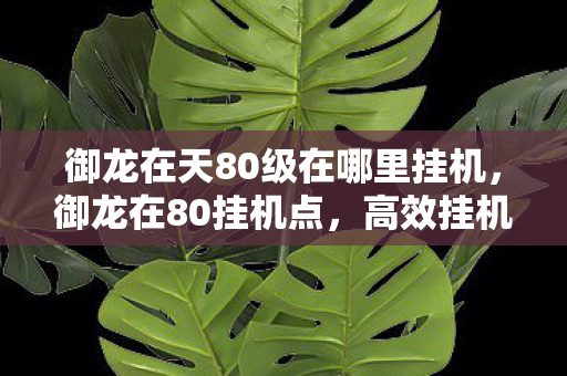 御龙在天80级在哪里挂机，御龙在80挂机点，高效挂机攻略与经验分享