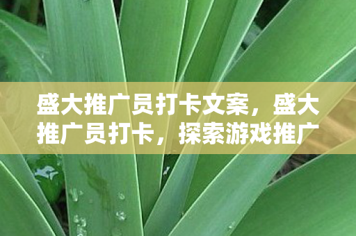 盛大推广员打卡文案，盛大推广员打卡，探索游戏推广的新路径