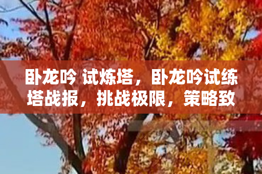 卧龙吟 试炼塔,卧龙吟试练塔战报,挑战极限,策略致胜 卧龙吟 试炼塔,卧龙吟试练塔战报,挑战极限,策略致胜