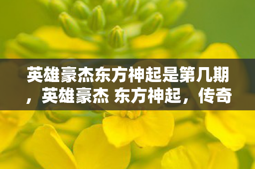 英雄豪杰东方神起是第几期,英雄豪杰 东方神起,传奇背后的荣耀与坚持 英雄豪杰东方神起是第几期,英雄豪杰 东方神起,传奇背后的荣耀与坚持