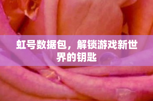 虹号数据包,解锁游戏新世界的钥匙 虹号数据包,解锁游戏新世界的钥匙
