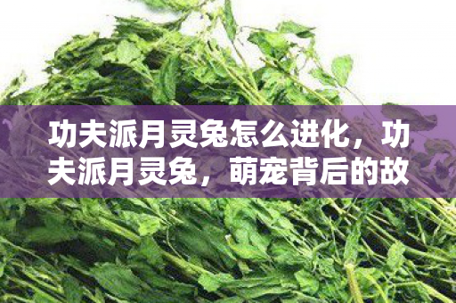 功夫派月灵兔怎么进化,功夫派月灵兔,萌宠背后的故事与游戏乐趣 功夫派月灵兔怎么进化,功夫派月灵兔,萌宠背后的故事与游戏乐趣