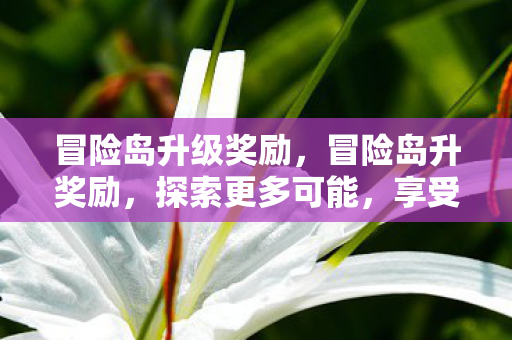 冒险岛升级奖励,冒险岛升奖励,探索更多可能,享受丰厚回馈 冒险岛升级奖励,冒险岛升奖励,探索更多可能,享受丰厚回馈