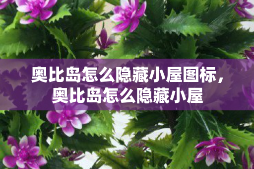 奥比岛怎么隐藏小屋图标,奥比岛怎么隐藏小屋 奥比岛怎么隐藏小屋图标,奥比岛怎么隐藏小屋