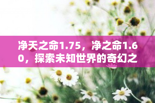 净天之命1.75,净之命1.60,探索未知世界的奇幻之旅 净天之命1.75,净之命1.60,探索未知世界的奇幻之旅