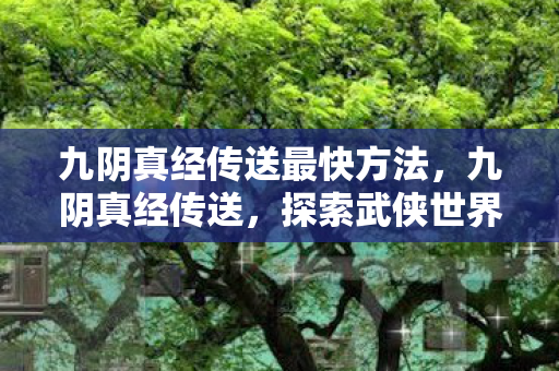 九阴真经传送最快方法,九阴真经传送,探索武侠世界的神秘门户 九阴真经传送最快方法,九阴真经传送,探索武侠世界的神秘门户