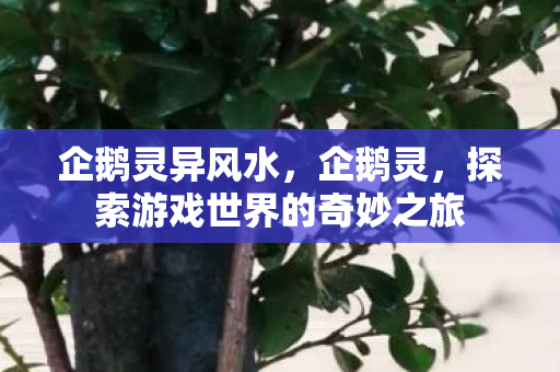 企鹅灵异风水,企鹅灵,探索游戏世界的奇妙之旅 企鹅灵异风水,企鹅灵,探索游戏世界的奇妙之旅