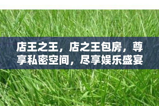 店王之王，店之王包房，尊享私密空间，尽享娱乐盛宴
