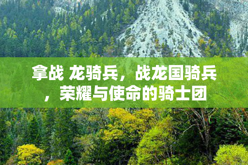 拿战 龙骑兵,战龙国骑兵,荣耀与使命的骑士团 拿战 龙骑兵,战龙国骑兵,荣耀与使命的骑士团