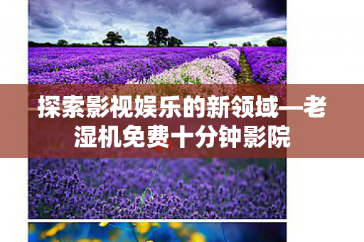 探索影视娱乐的新领域—老湿机免费十分钟影院 探索影视娱乐的新领域—老湿机免费十分钟影院