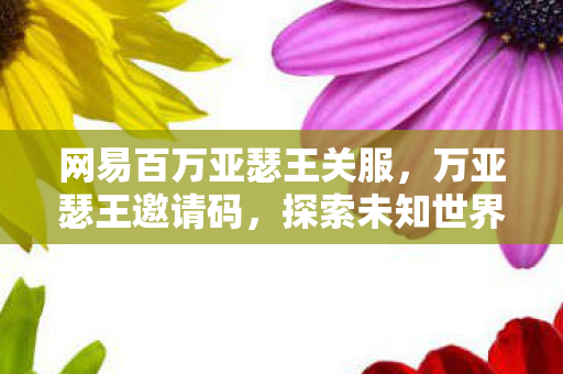 网易百万亚瑟王关服,万亚瑟王邀请码,探索未知世界的神秘钥匙 网易百万亚瑟王关服,万亚瑟王邀请码,探索未知世界的神秘钥匙