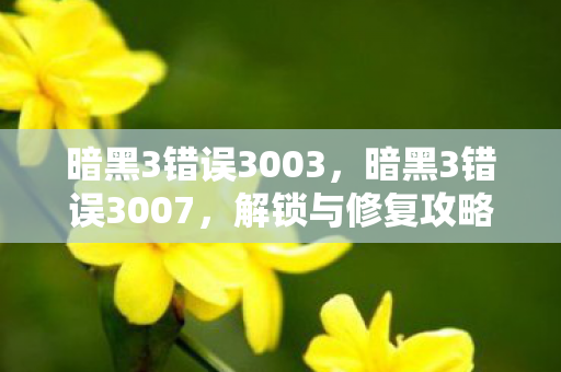 暗黑3错误3003,暗黑3错误3007,解锁与修复攻略 暗黑3错误3003,暗黑3错误3007,解锁与修复攻略