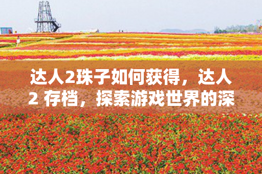 达人2珠子如何获得,达人2 存档,探索游戏世界的深度与广度 达人2珠子如何获得,达人2 存档,探索游戏世界的深度与广度