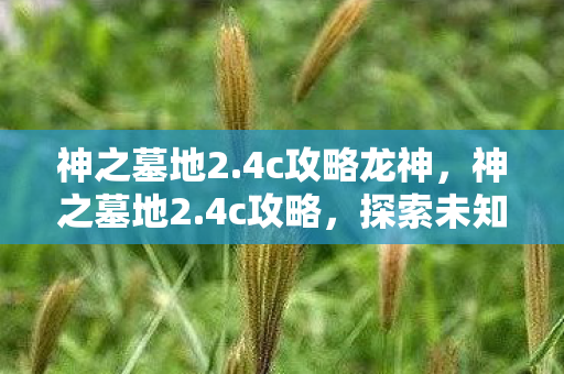 神之墓地2.4c攻略龙神,神之墓地2.4c攻略,探索未知,挑战极限 神之墓地2.4c攻略龙神,神之墓地2.4c攻略,探索未知,挑战极限
