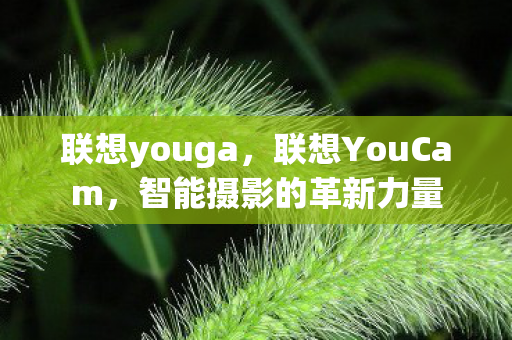 联想youga，联想YouCam，智能摄影的革新力量