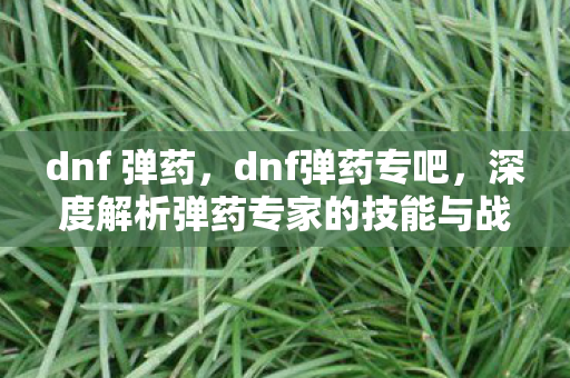 dnf 弹药,dnf弹药专吧,深度解析弹药专家的技能与战术 dnf 弹药,dnf弹药专吧,深度解析弹药专家的技能与战术